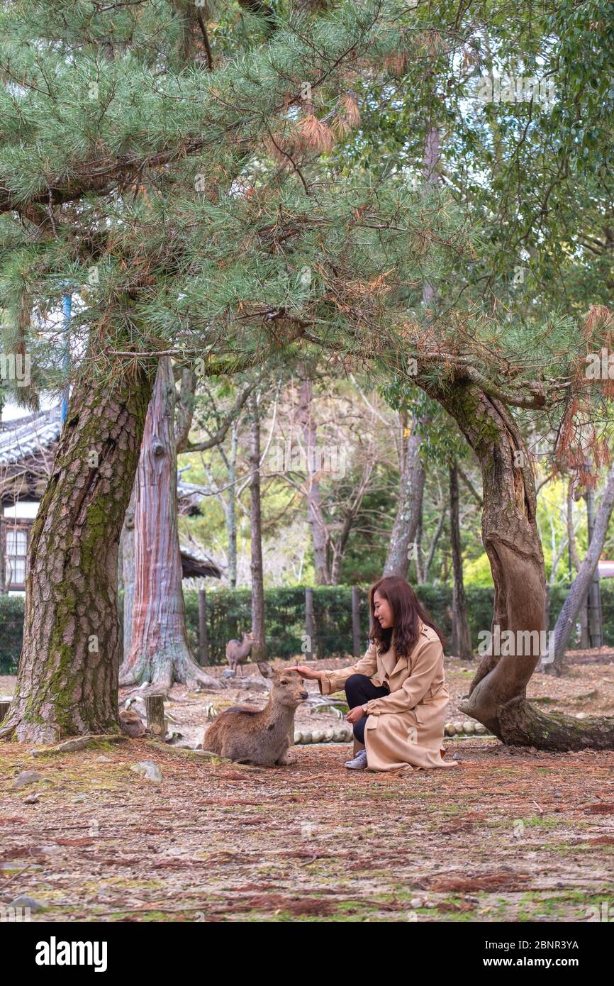 Immagine di primo piano di una donna asiatica seduta e giocando con un cervo selvaggio nel parco Foto Stock