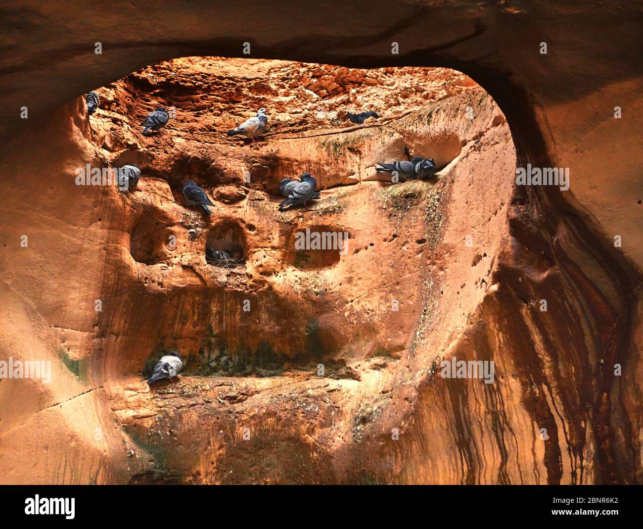 Le grotte di Colombarium a Beit Guvrin, Israele, furono usate per l'allevamento di colombi in tempi antichi. Foto Stock