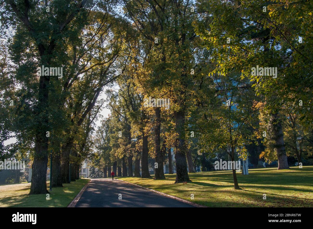 Mattina d'autunno nei Fitzroy Gardens, all'estremità orientale del quartiere degli affari della città, Melbourne, Australia Foto Stock