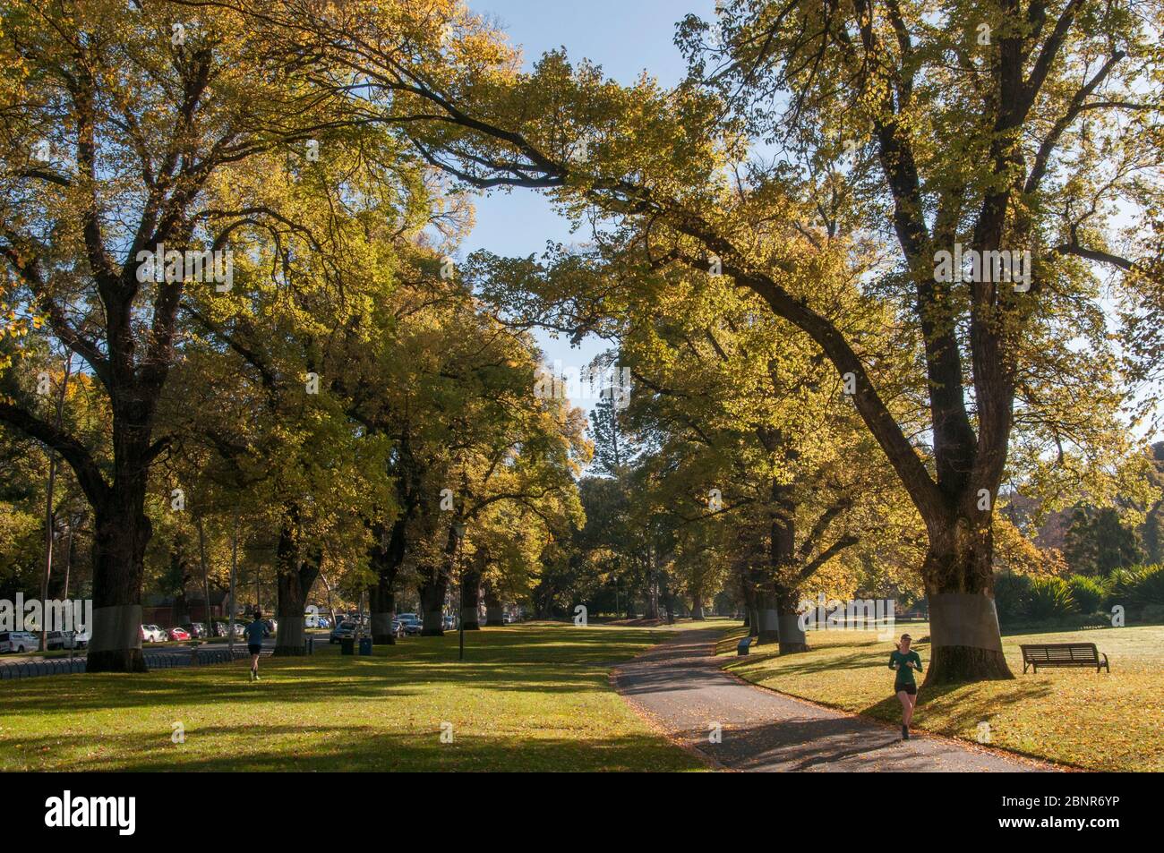 Mattina d'autunno nei Fitzroy Gardens, all'estremità orientale del quartiere degli affari della città, Melbourne, Australia Foto Stock