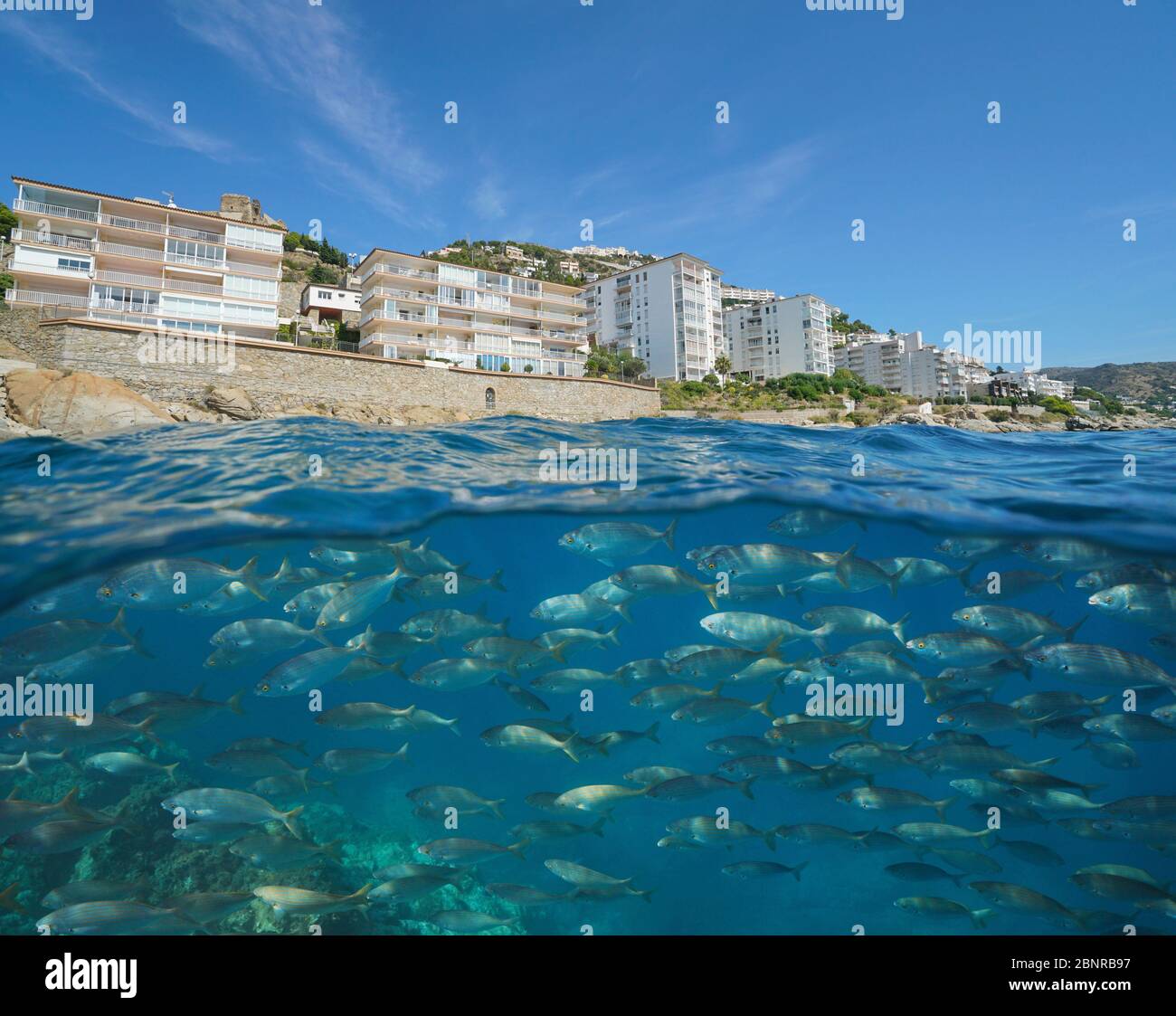 Spagna costa con edifici a Roses città e una scuola di pesce sott'acqua, Mar Mediterraneo, Costa Brava, Catalogna, vista split sopra l'acqua Foto Stock