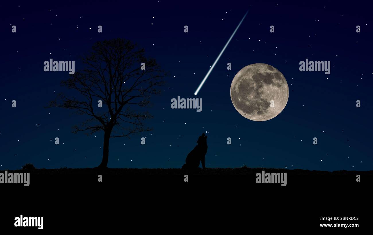 Silhouette di un lupo accanto ad un albero con la luna piena e un meteorite in un cielo stellato di notte sullo sfondo e spazio per il testo Foto Stock