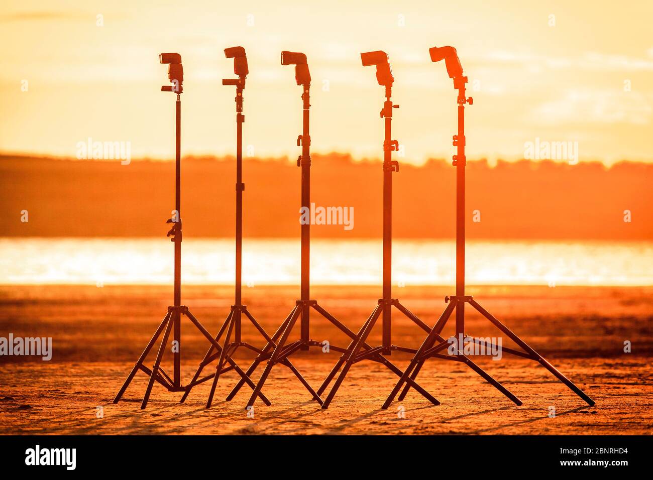 cinque speedlights si trovano sui cavalletti luminosi sulla spiaggia al tramonto Foto Stock