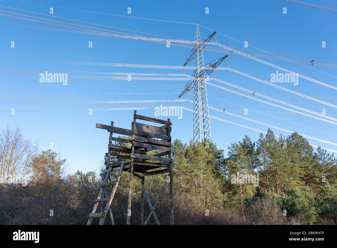 Germania, Sassonia-Anhalt, Angern, vista di un pilone elettrico di 50 Hertz, parte del collegamento sud-est, linea elettrica dalla Sassonia-Anhalt alla Baviera. In primo piano è un alto stand. Foto Stock