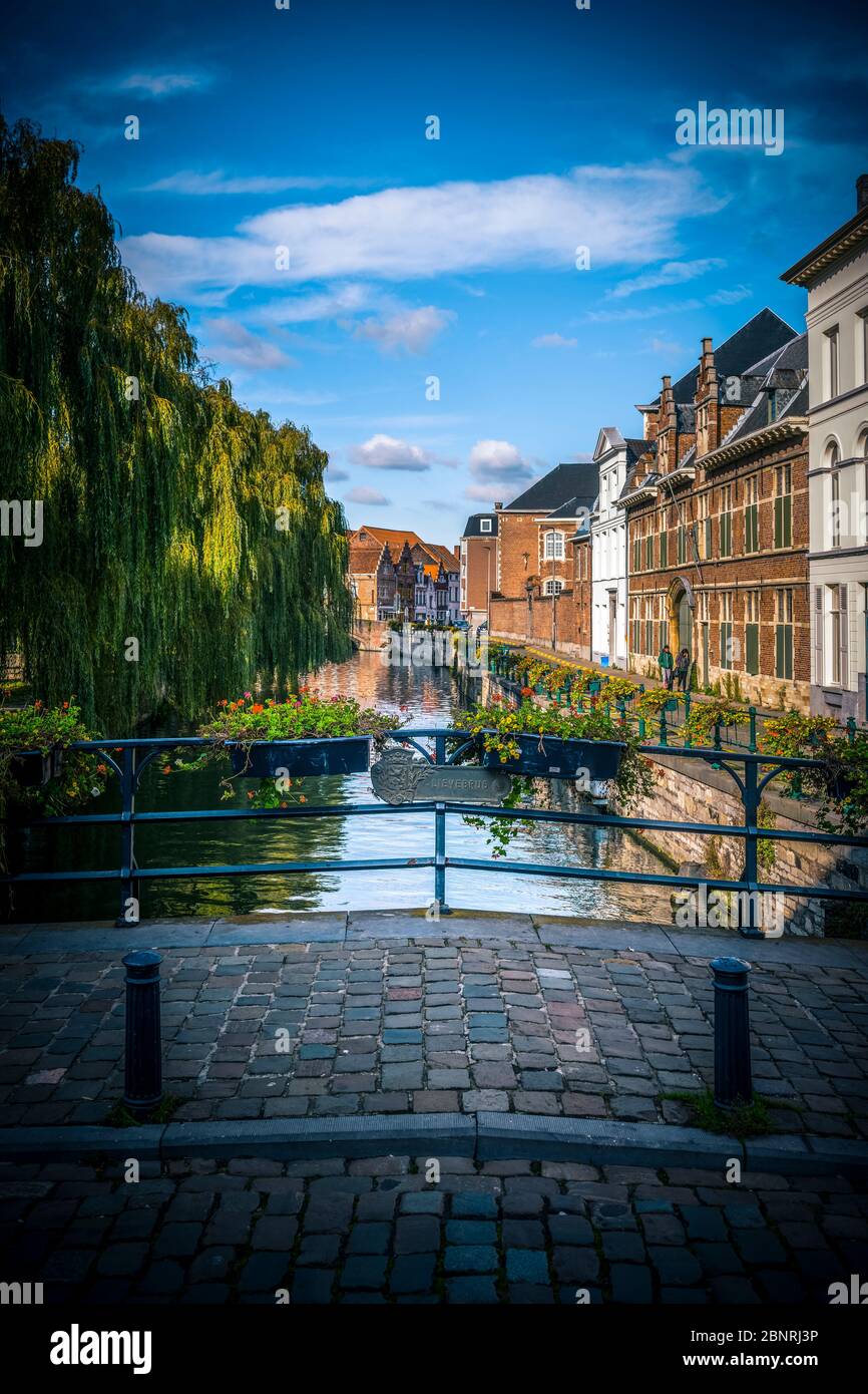 Europa, Belgio, Gand, città, città vecchia, canale, ponte, Lievebrug Foto Stock