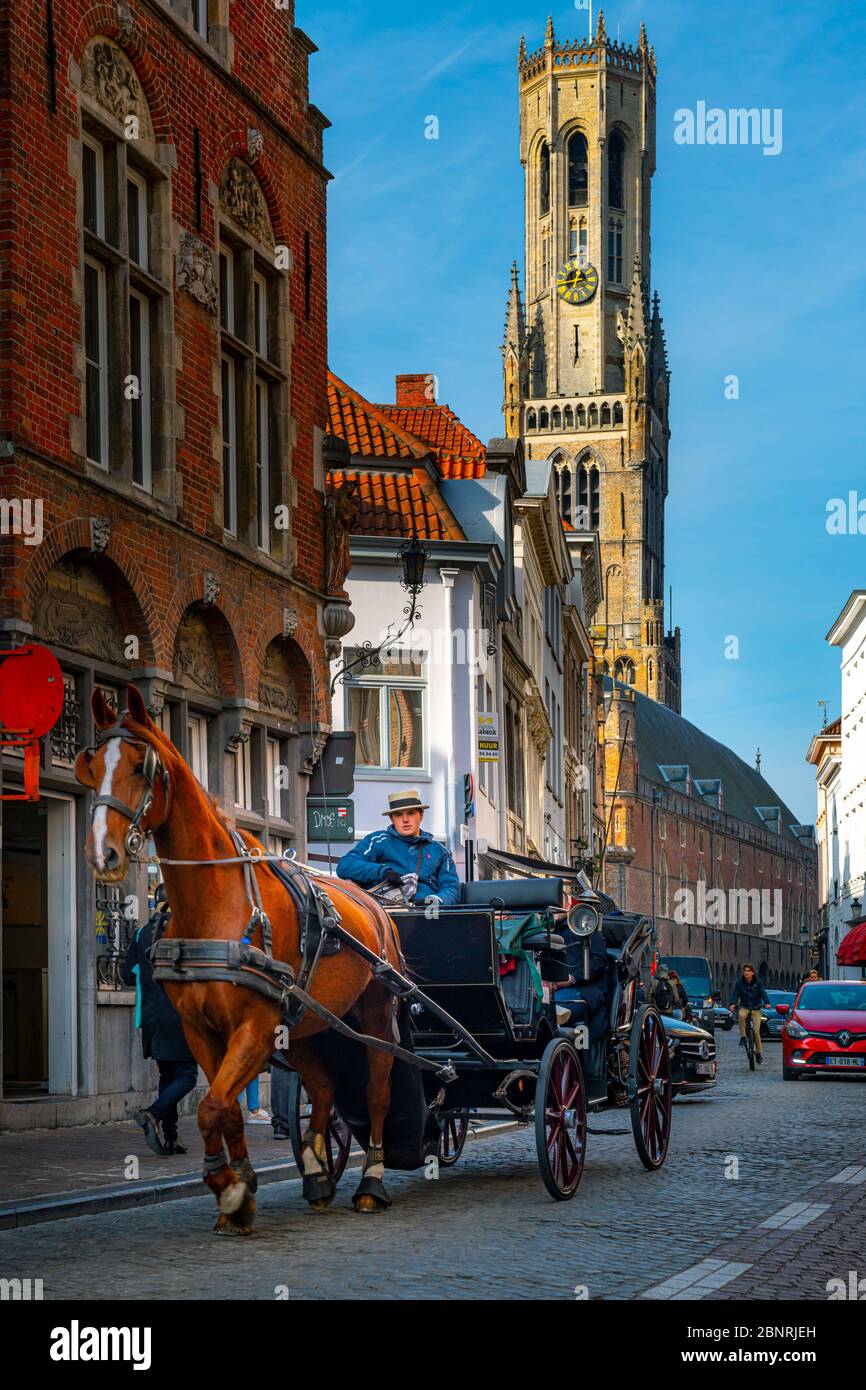 Europa, Belgio, Bruges, città, città vecchia, carrozza, giro in carrozza, Belfort Foto Stock