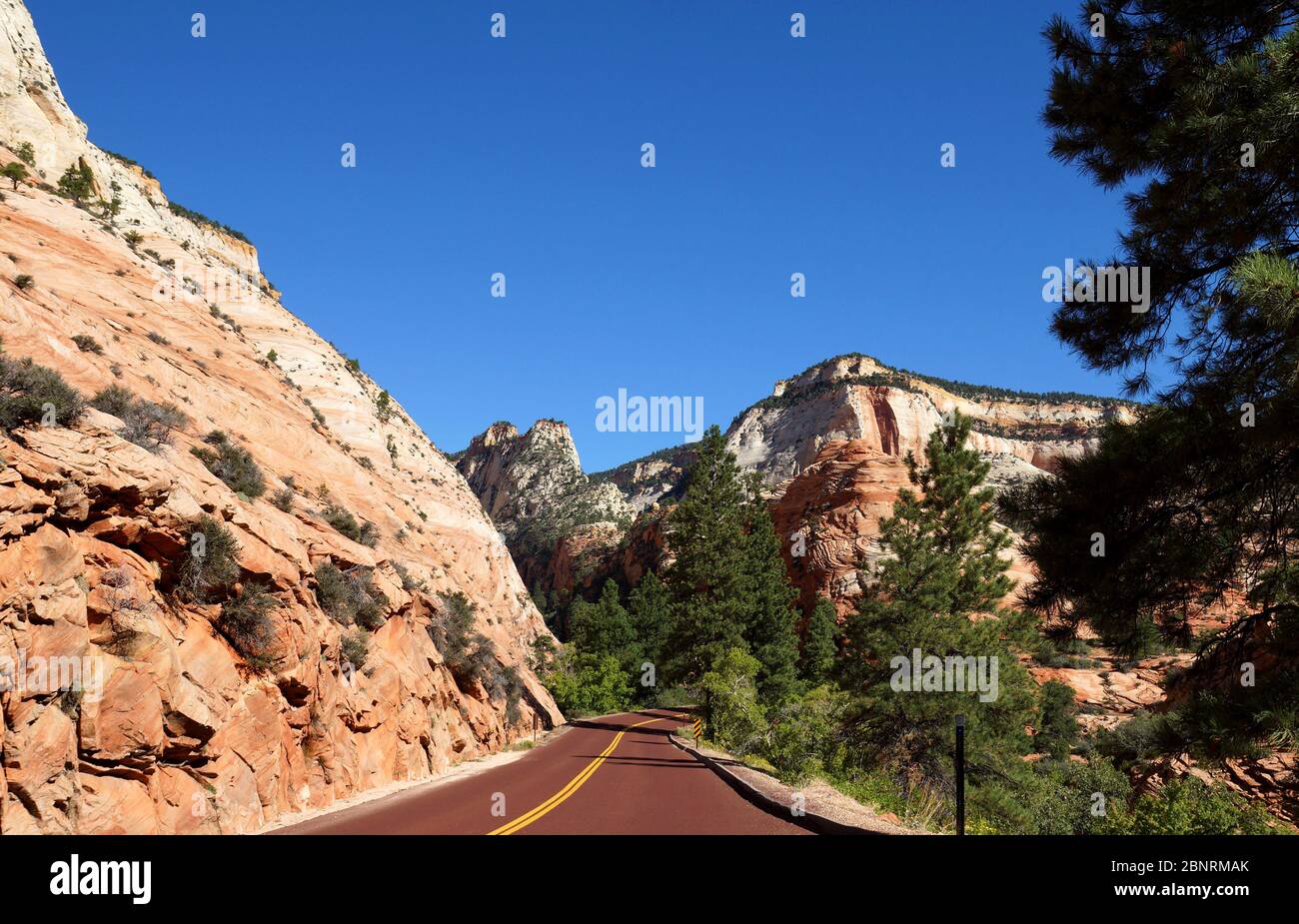 Parco Nazionale di Zion Foto Stock