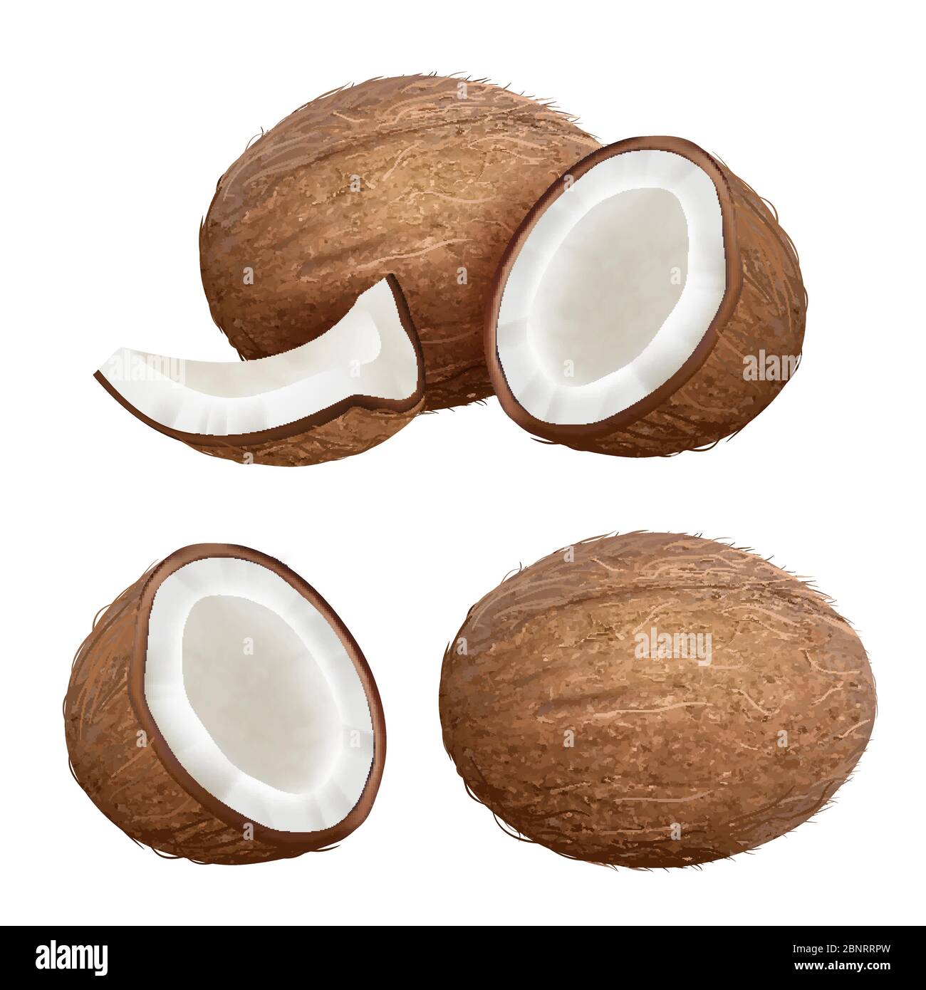 Cocco realistico. Closeup tropicale frutta natura da palme fresche vettore latte di cocco immagini Illustrazione Vettoriale