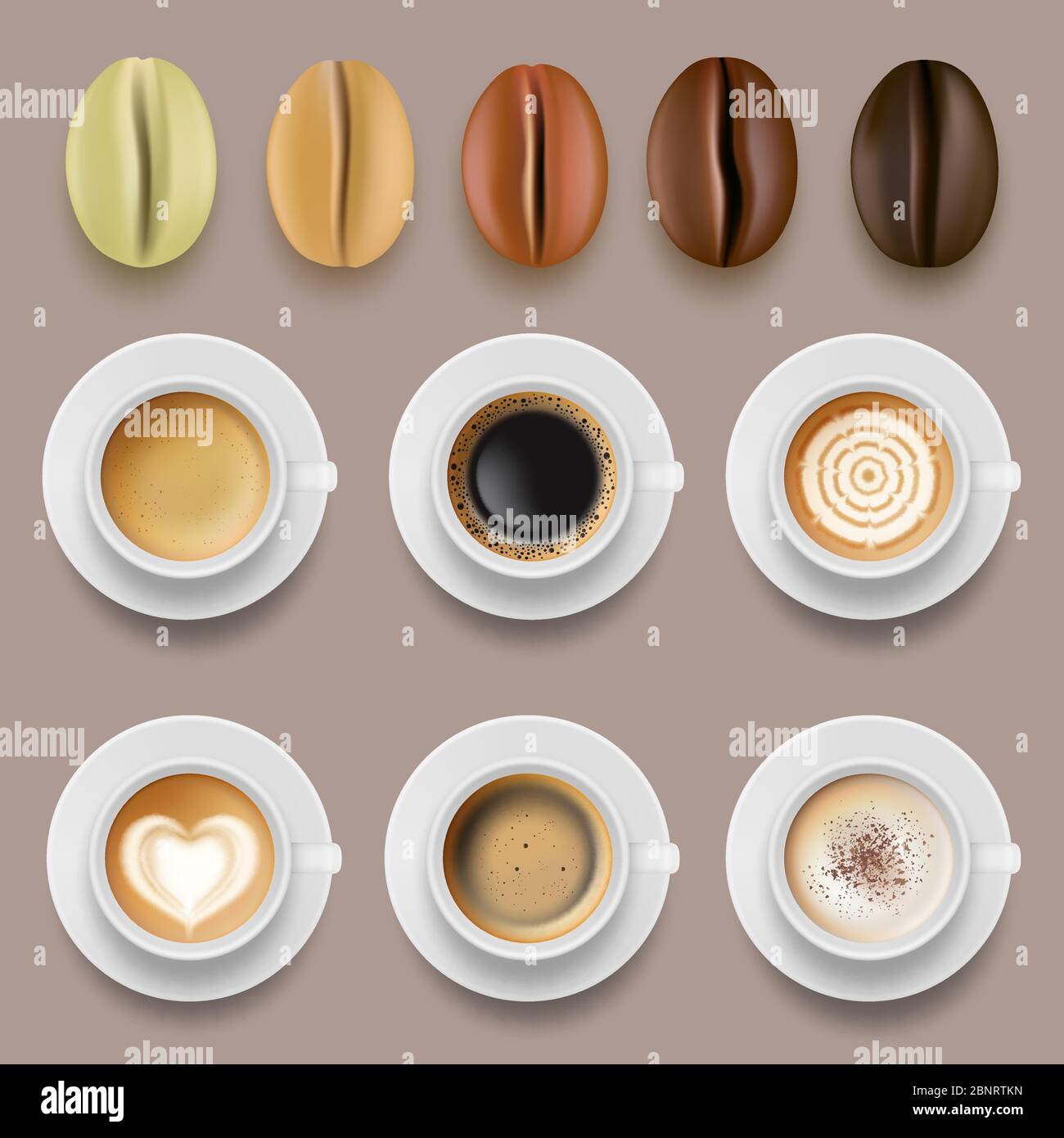 Chicchi di caffè e tazze. Bevande calde caffè arabica arrosto raccolta di vettori agricoli Illustrazione Vettoriale