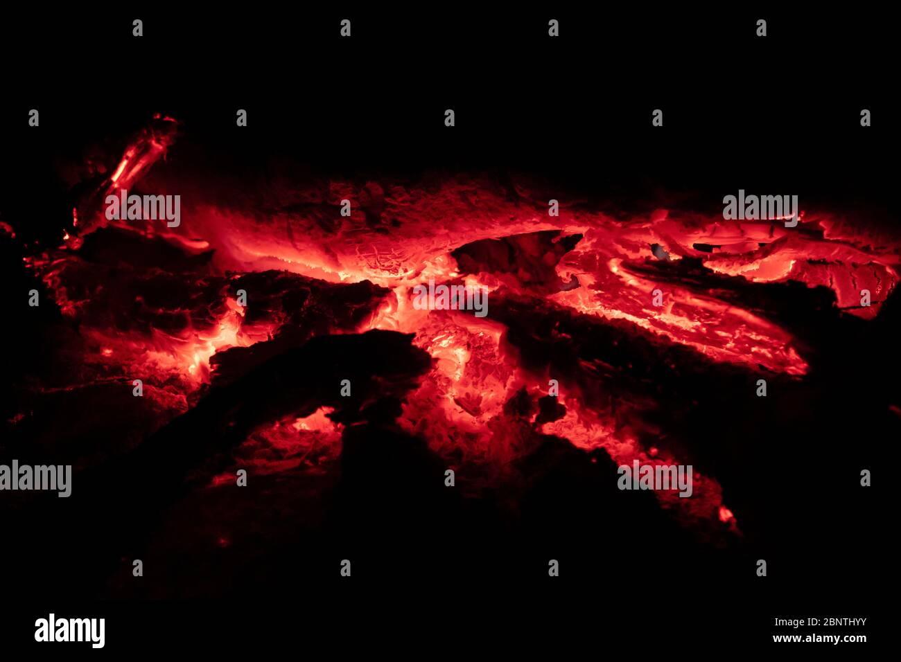 Primo piano immagine di calici fuoco di notte Foto Stock