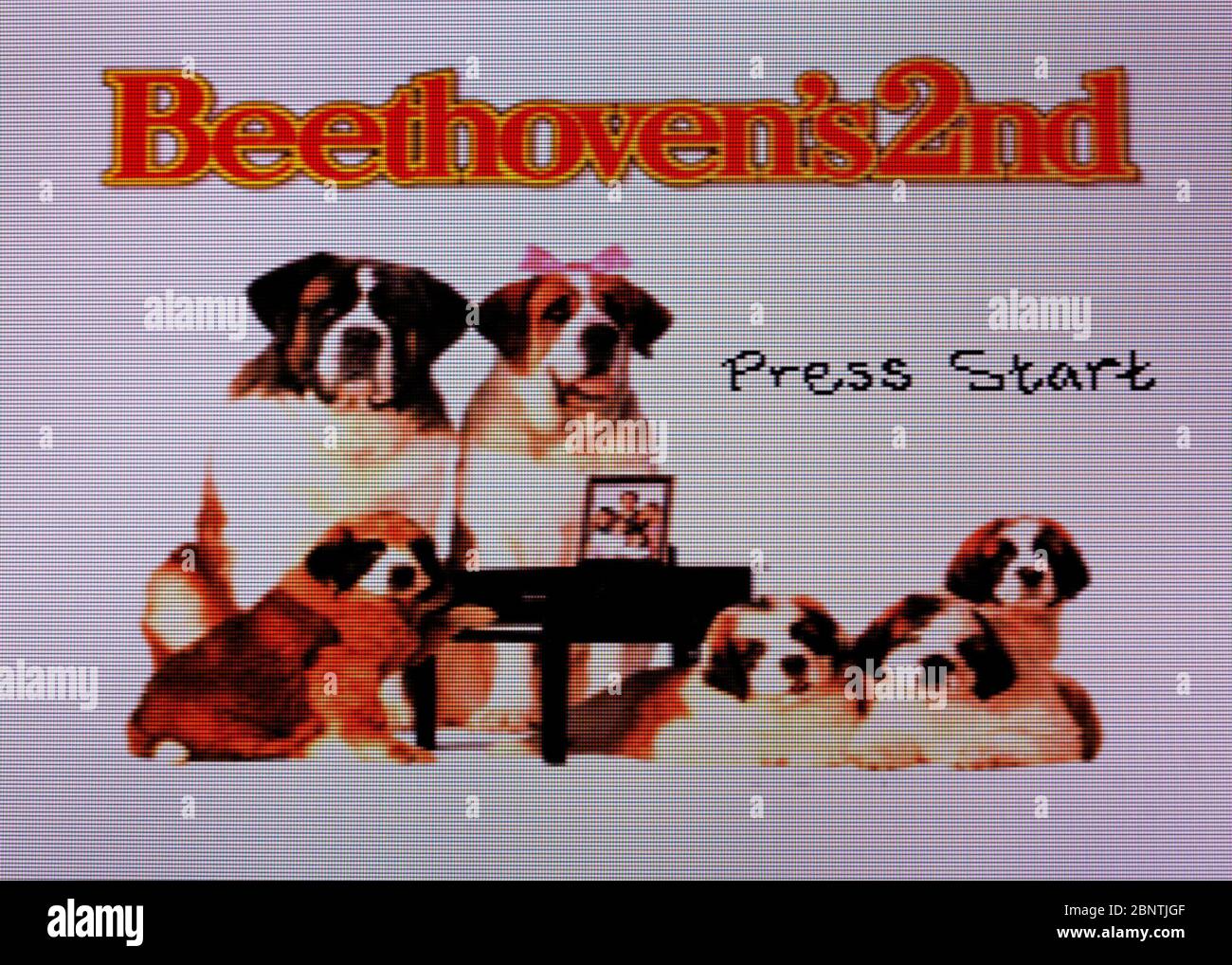 Beethoven's 2nd - SNES Super Nintendo - solo per uso editoriale Foto Stock