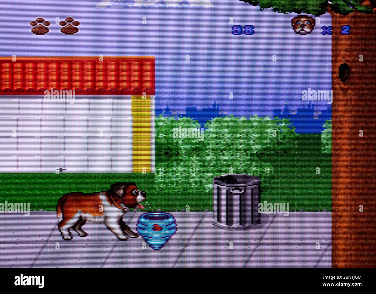 Beethoven's 2nd - SNES Super Nintendo - solo per uso editoriale Foto Stock