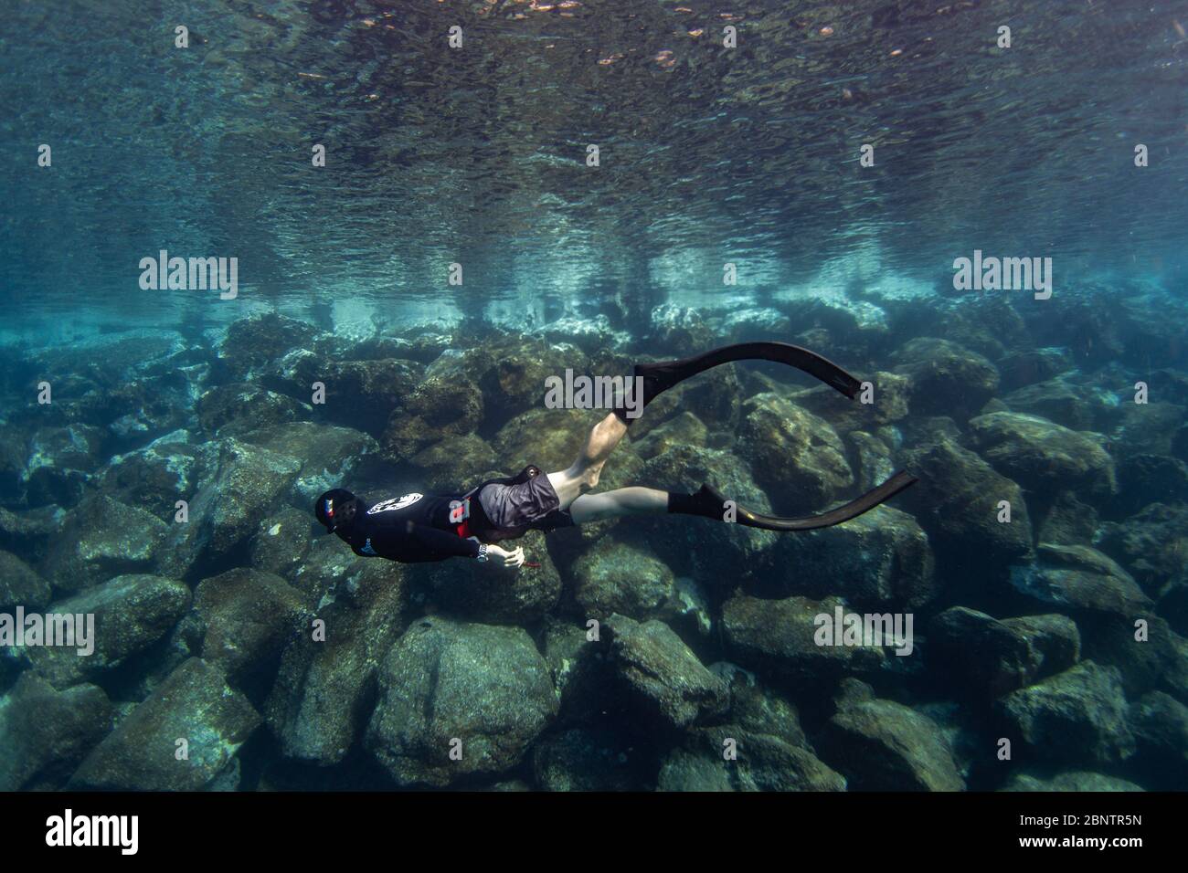 Freediver immersione subacquea nelle acque poco profonde di Tenerife, Isole Canarie, Spagna. Foto Stock