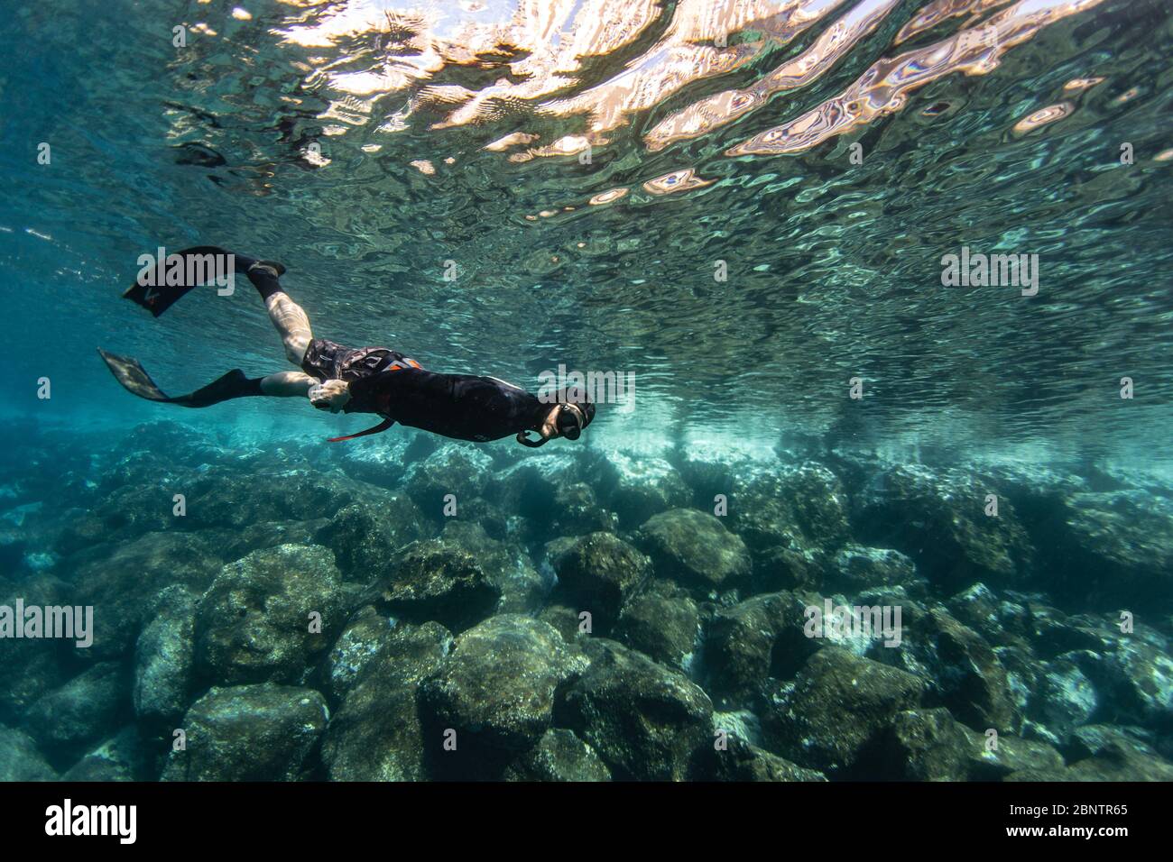 Freediver immersione subacquea nelle acque poco profonde di Tenerife, Isole Canarie, Spagna. Foto Stock