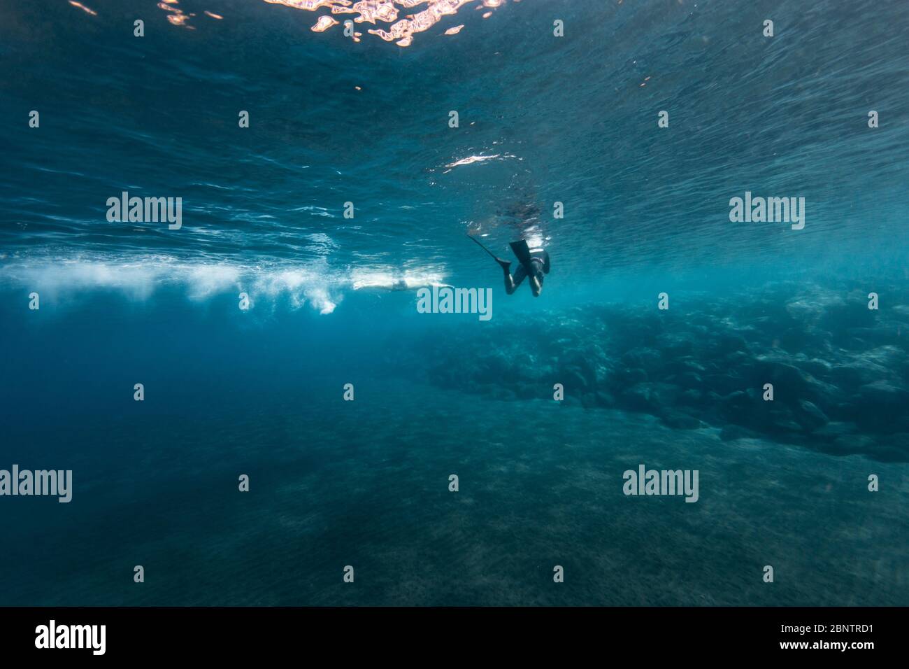 Freediver dswimming sulla superficie nelle acque poco profonde di Tenerife, Isole Canarie, Spagna. Foto Stock