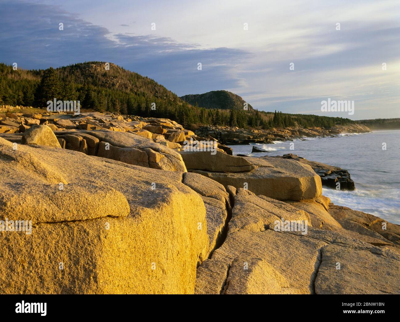 La costa rocciosa del Parco Nazionale di Acadia su Mount Desert Island nel Maine. Il Parco Nazionale di Acadia è stato il primo parco nazionale ad est del Foto Stock