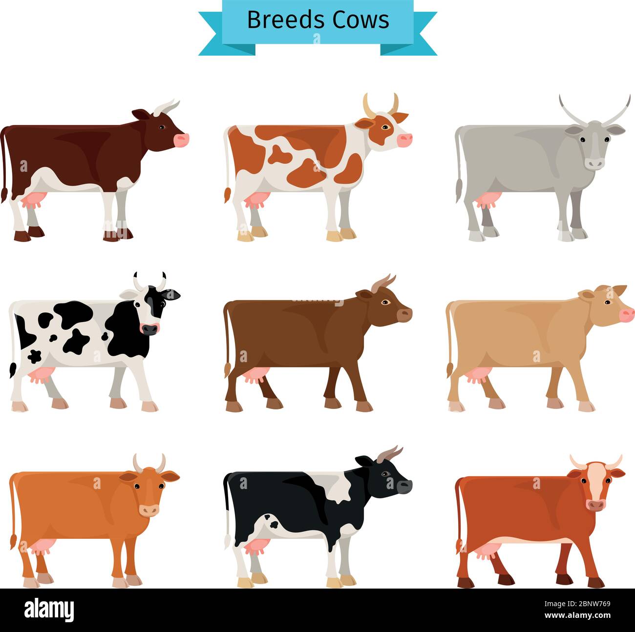 Icone di mucca piatta. Vacche vettoriali di colori diversi Illustrazione Vettoriale