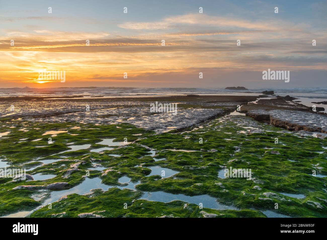 Ericeira spiaggia al tramonto. Paesaggio costiero del Portogallo occidentale. Spiaggia vicino Lisbona destinazione di viaggio per le vacanze. Paradiso del surf in europa. Dawn Seascape Foto Stock