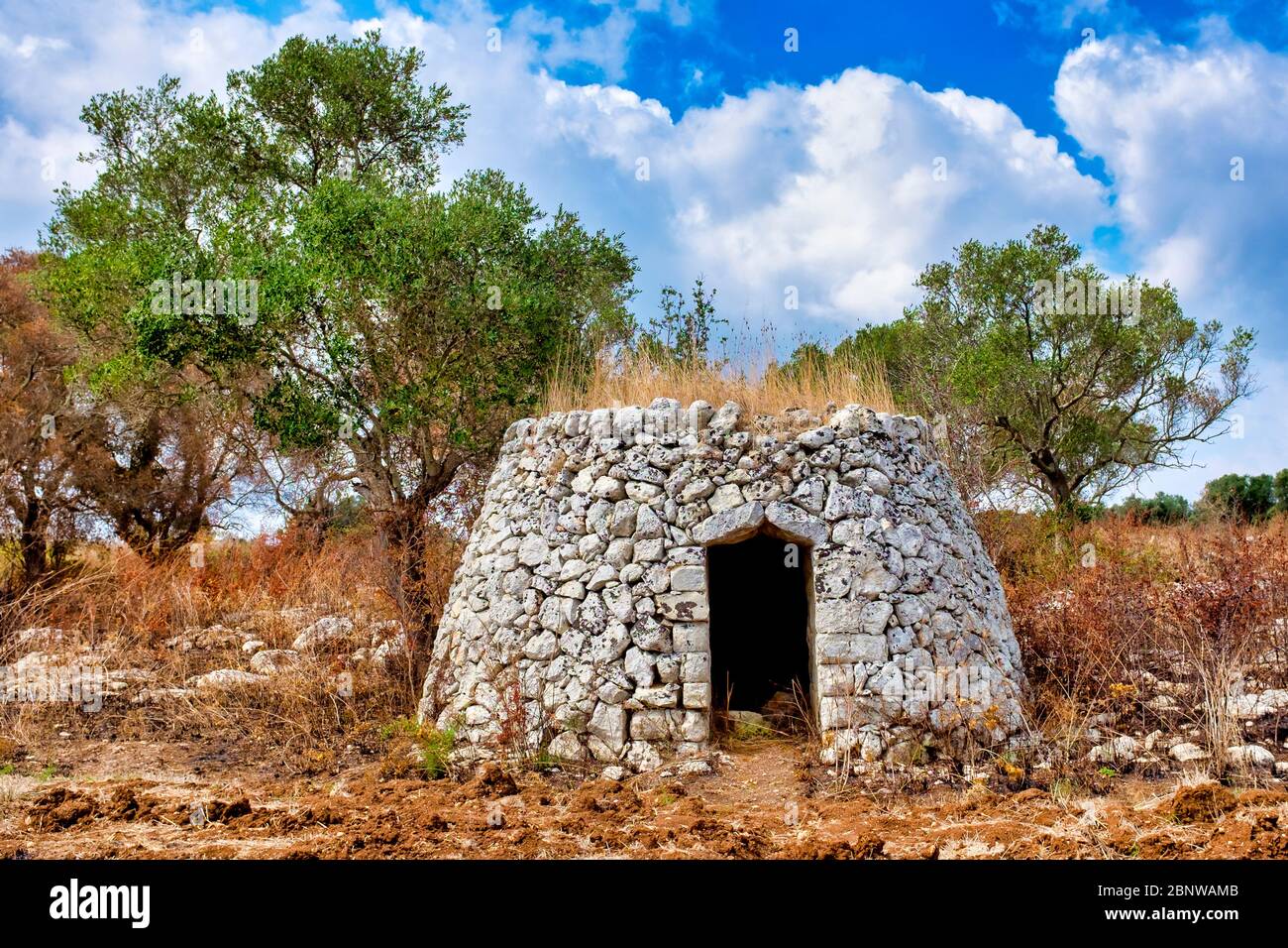 Casèdde, una tradizionale capanna in pietra a secco nella Penisola del Salento, Puglia, Italia Foto Stock