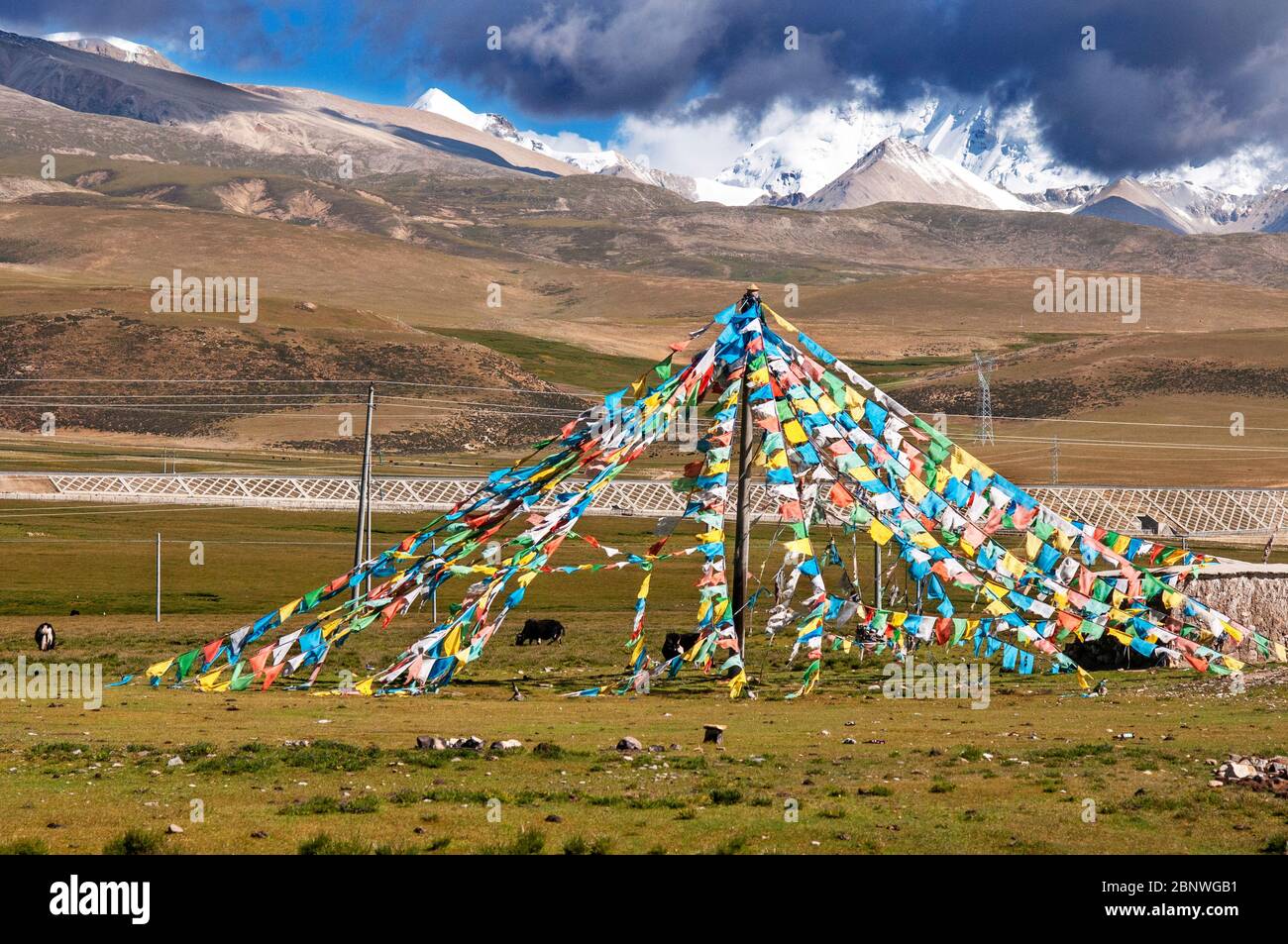 Passo Nyenchen Tonglha. Bandiere di preghiera vicino alla base del Monte Nyenchen Tanglha 7111 metri di altezza, Tibet Cina. Una delle montagne sacre per i tibetani. Foto Stock