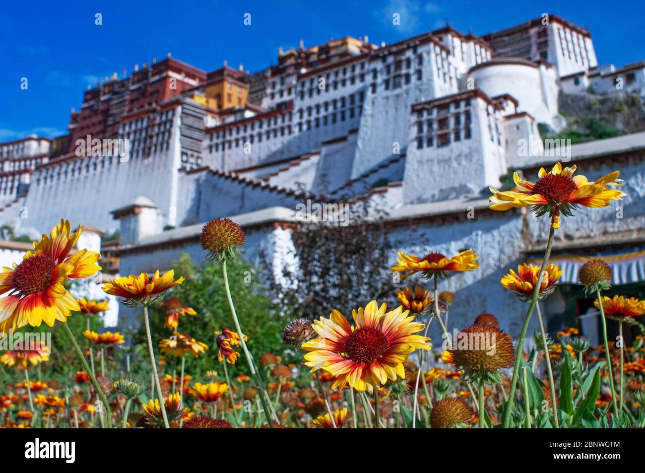 Potala, ex residenza Dalai lama a Lhasa in Tibet. Il Potala Palace è una fortezza di dzong nella città di Lhasa, in Tibet. Era l'inverno Foto Stock