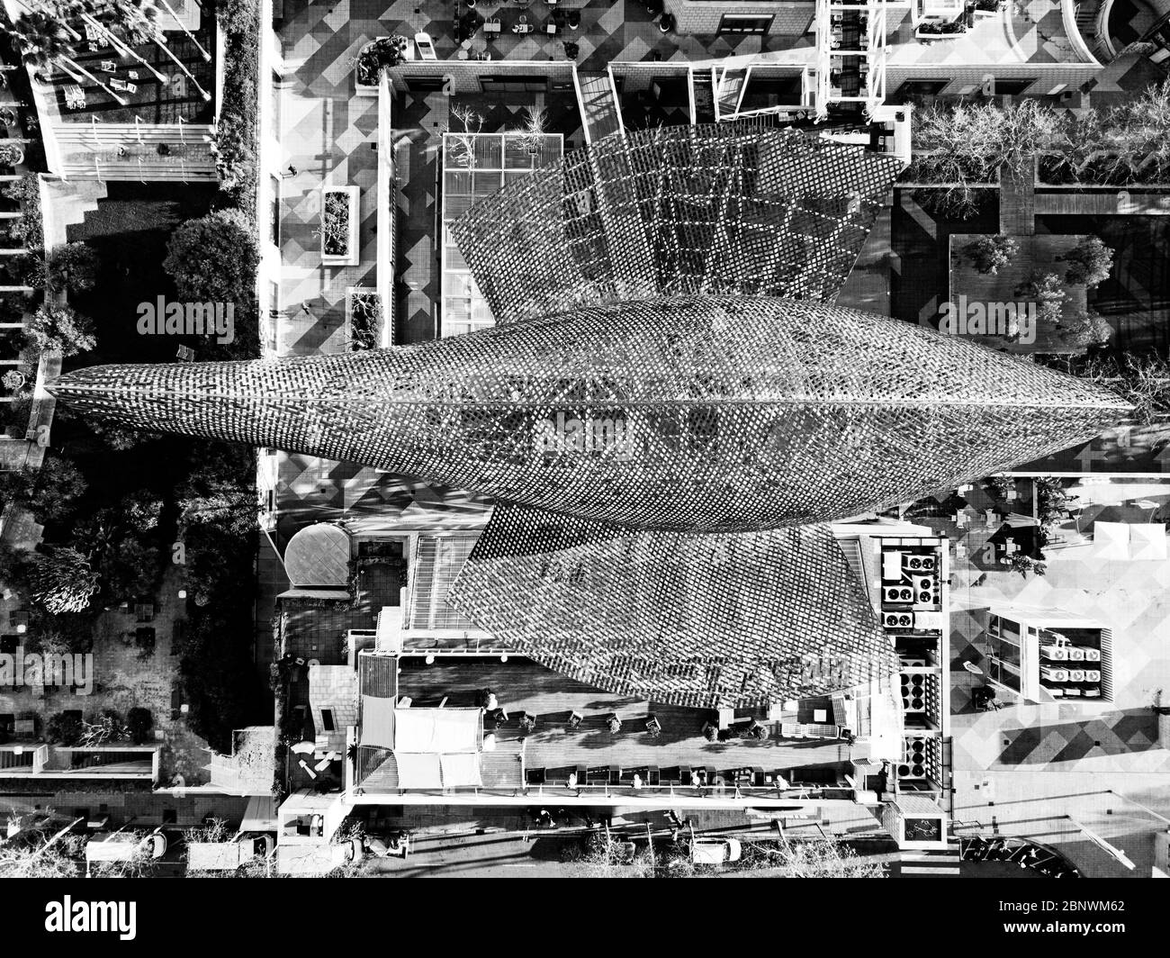 Peix o pesce di Frank Gehry vicino al porto olimpico di Barcellona vista aerea Barcellona Catalogna Spagna questo pesce gigante è diventato una delle più rosee Foto Stock