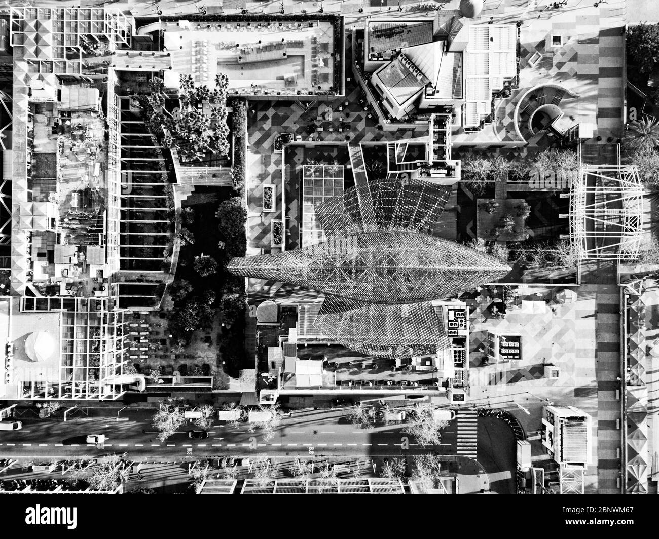 Peix o pesce di Frank Gehry vicino al porto olimpico di Barcellona vista aerea Barcellona Catalogna Spagna questo pesce gigante è diventato una delle più rosee Foto Stock