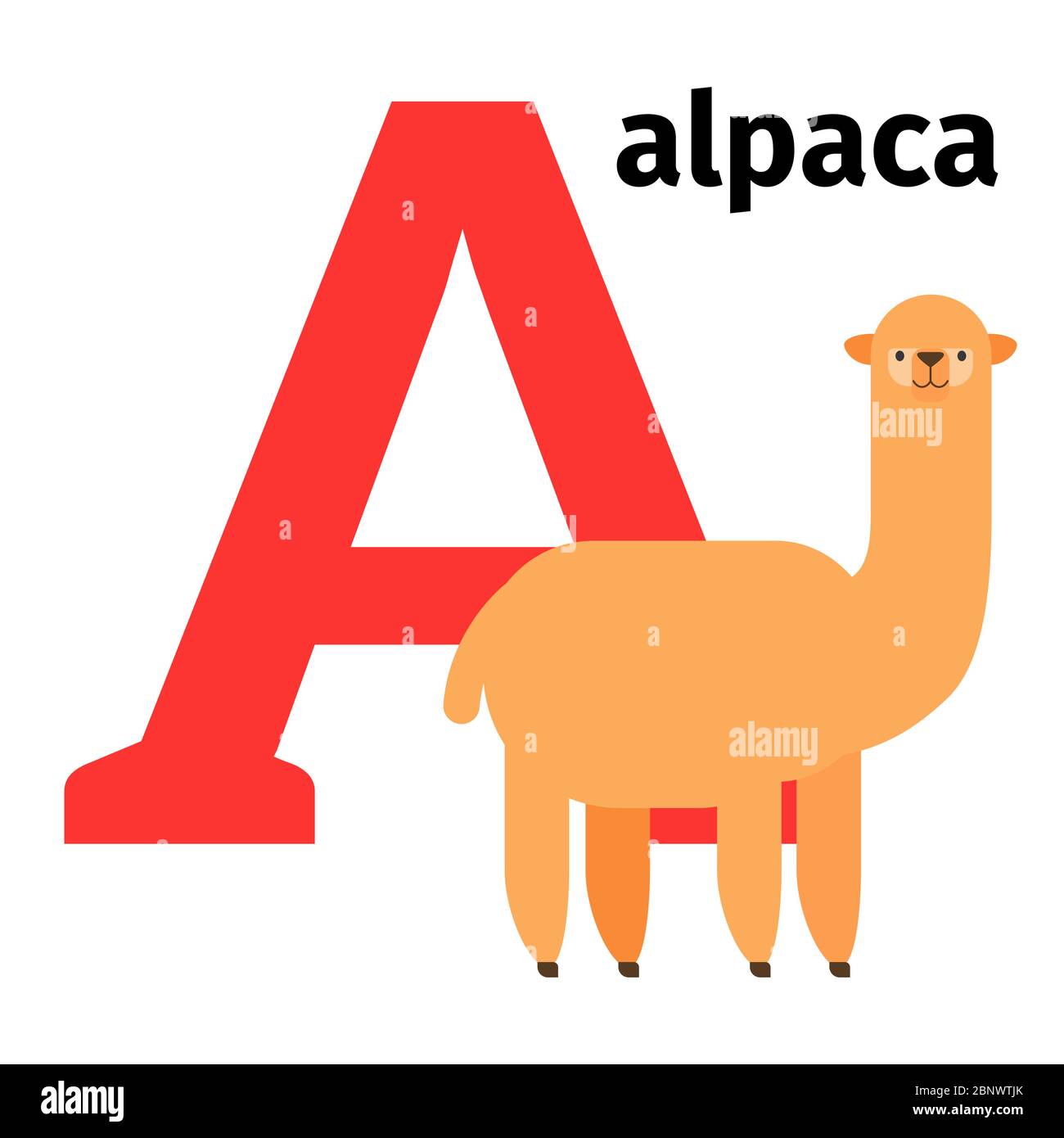 Alfabeto inglese di animali zoo con lettera A. illustrazione vettoriale di alpaca Illustrazione Vettoriale