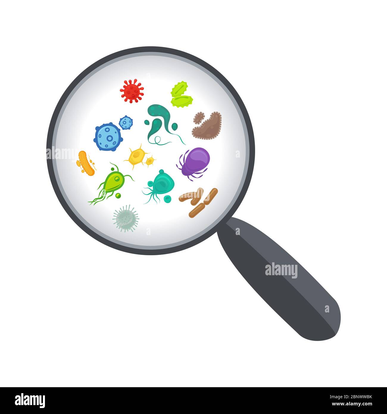 Batteri e virus sotto l'illustrazione vettoriale lente d'ingrandimento Illustrazione Vettoriale