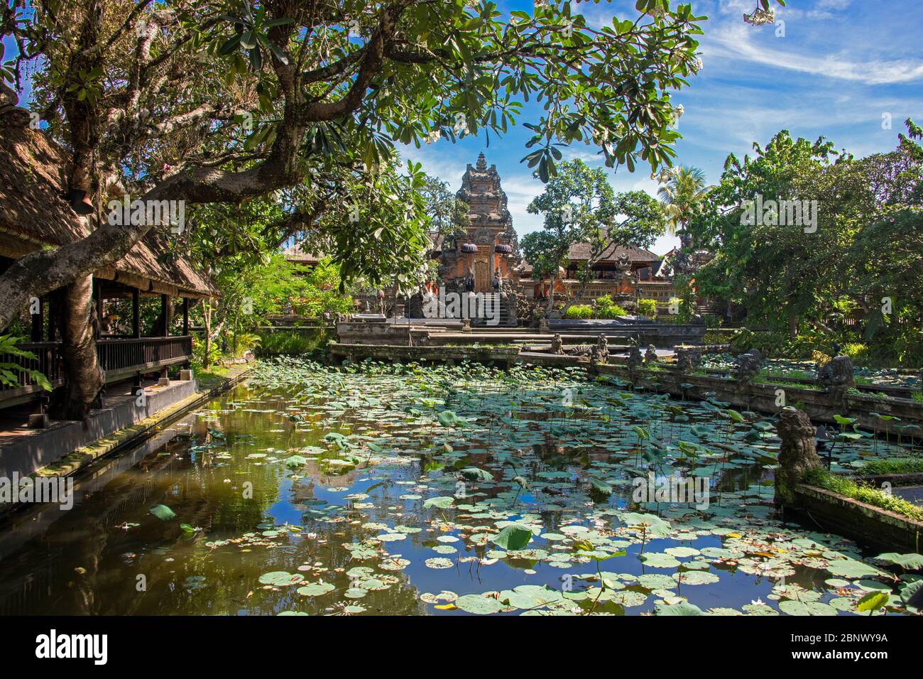 Tempio pura Taman Saraswati con laghetto di loto in primo piano Ubud Bali Indonesia Foto Stock