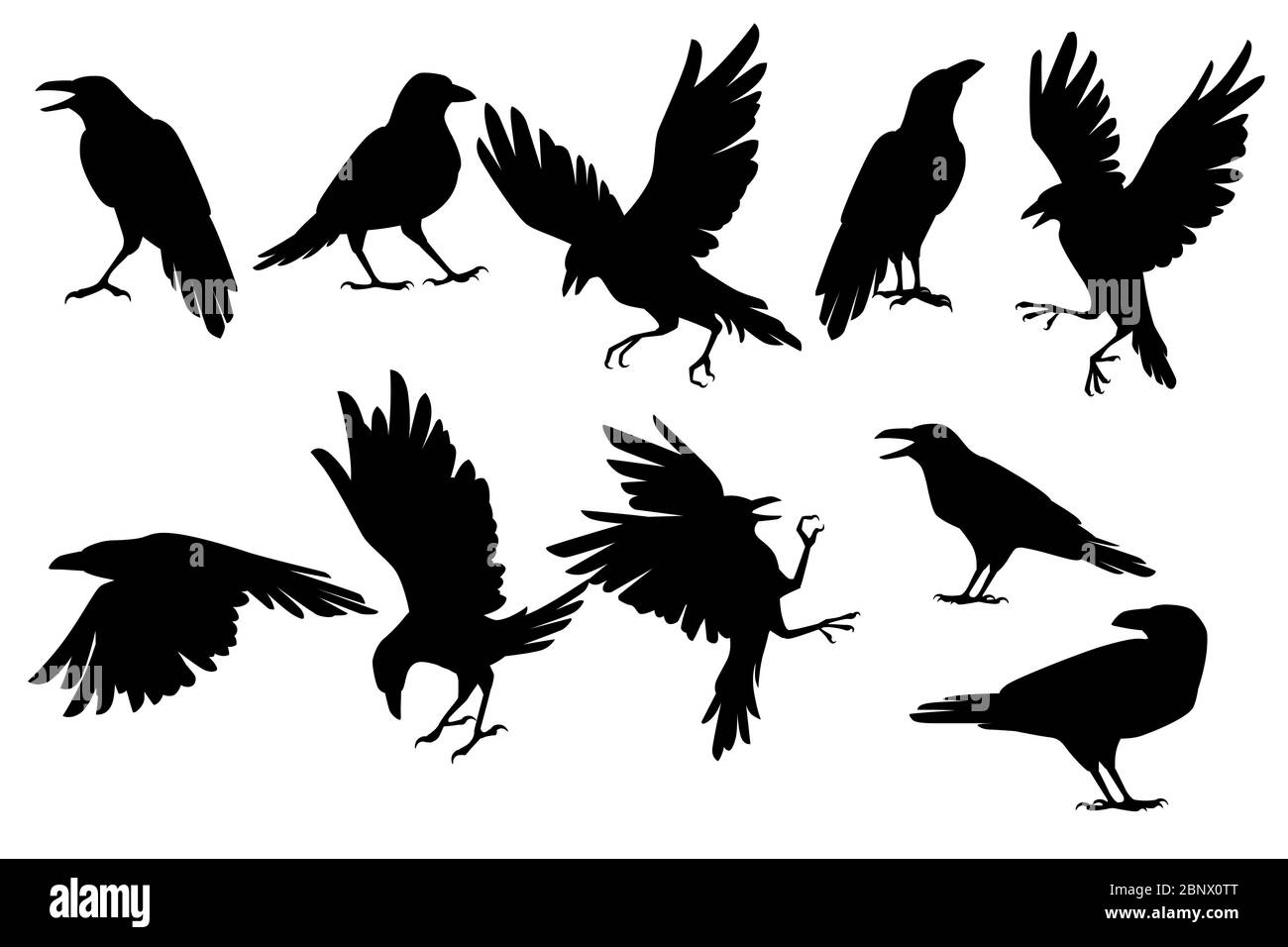 Set di silhouette nere raven uccello in diverse pose cartoon disegno corvo piatto vettore animale illustrazione isolato su sfondo bianco Illustrazione Vettoriale