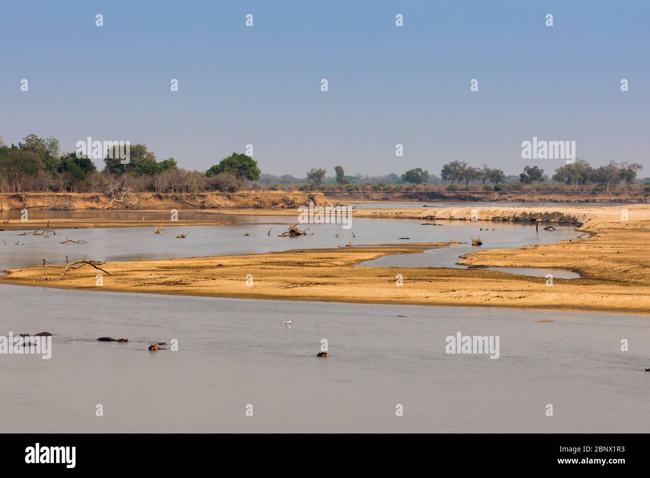 Paesaggio del Parco Nazionale di Luangwa Sud, Zambia Foto Stock