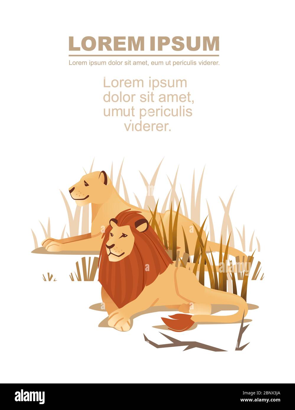 Pubblicità Flyer banner disegno con coppia di leoni sdraiati in erba cartoon animale disegno vettore piatto illustrazione Illustrazione Vettoriale