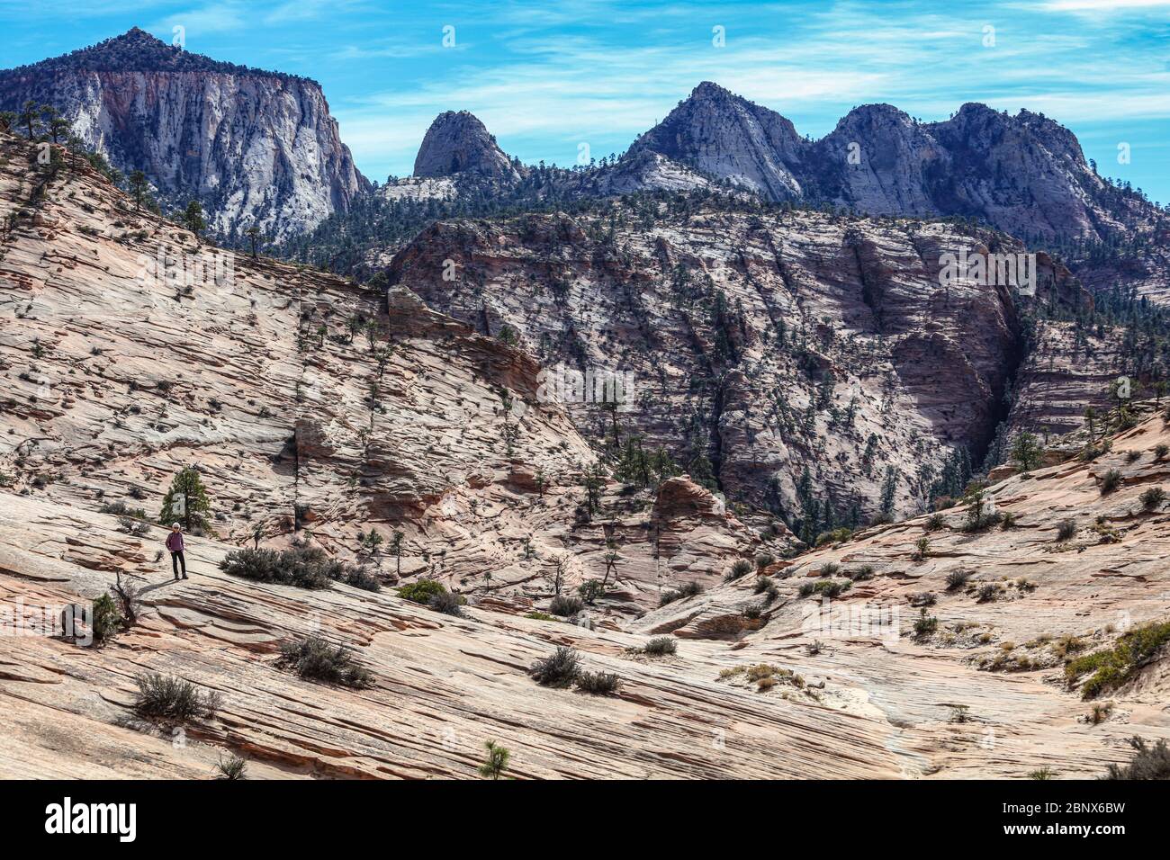 Le numerose piscine 'Trail' nel Parco Nazionale di Zion, Utah. Foto Stock