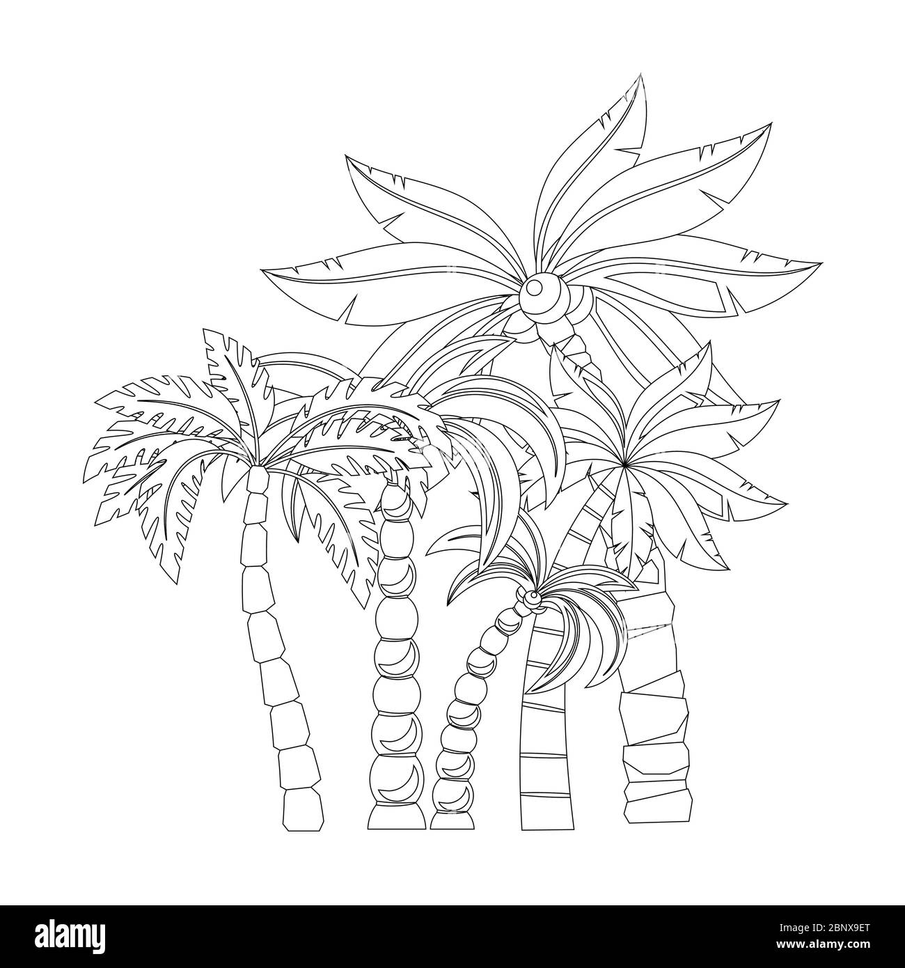 Palme per colorare pagine di libro disegno, isolato su sfondo bianco. Illustrazione vettoriale Illustrazione Vettoriale