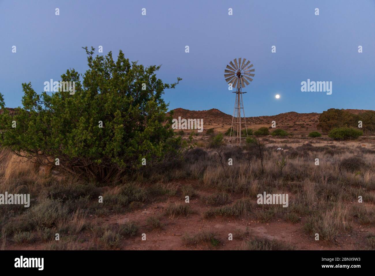 Luna sorge su una fattoria di pecore, il Karoo, Sudafrica Foto Stock