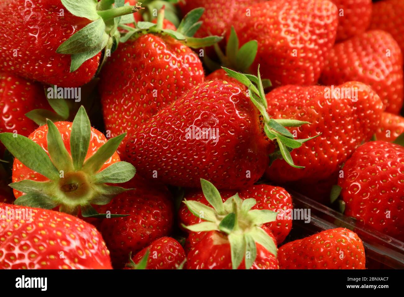 Fragole rosse d'estate, macrofotografia di frutta fresca Foto Stock