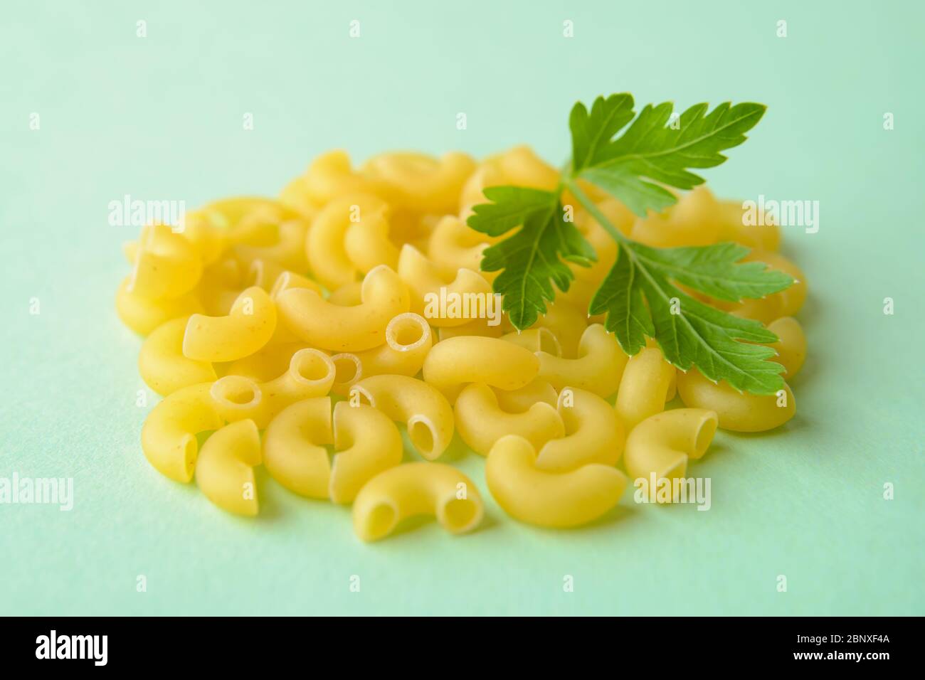Un mucchio di piccoli corni di maccheroni crudi e prezzemolo fresco su sfondo verde pastello. Pasta di grano duro. Ingrediente per mangiare l'healhy e cibo vegetariano. Foto Stock