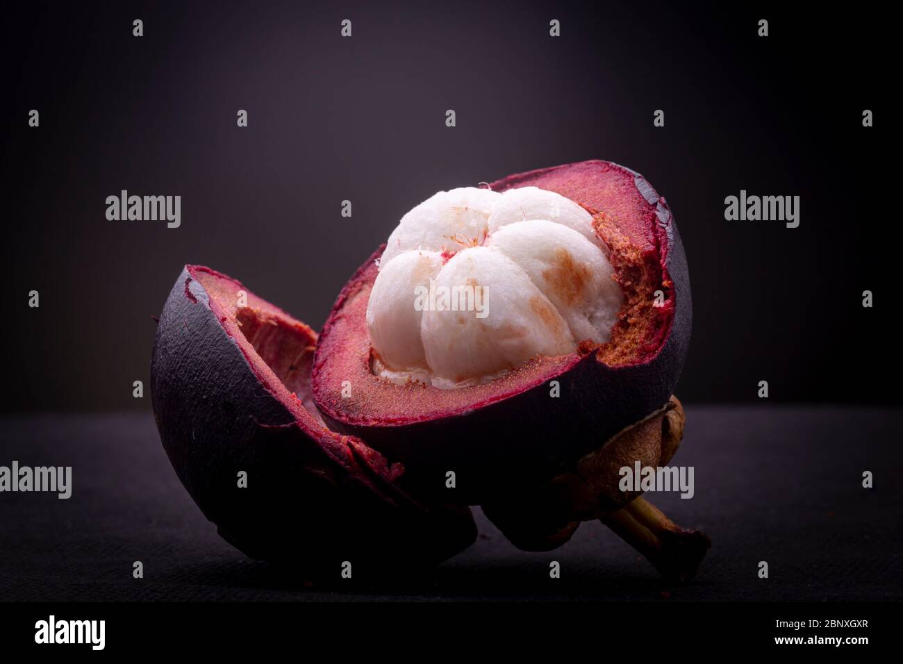 Metà di un esotico frutto di Mangosteen rosso porpora che mostra la carne bianca in germogli e rivela la spessa buccia esterna color spugna magenta. Foto Stock