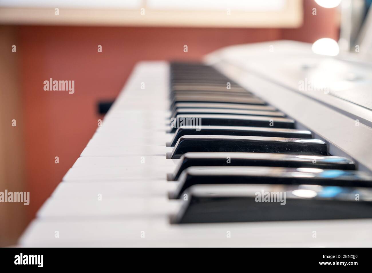 Primo piano tasti bianchi e neri di un sintetizzatore. Il pianoforte. Foto Stock