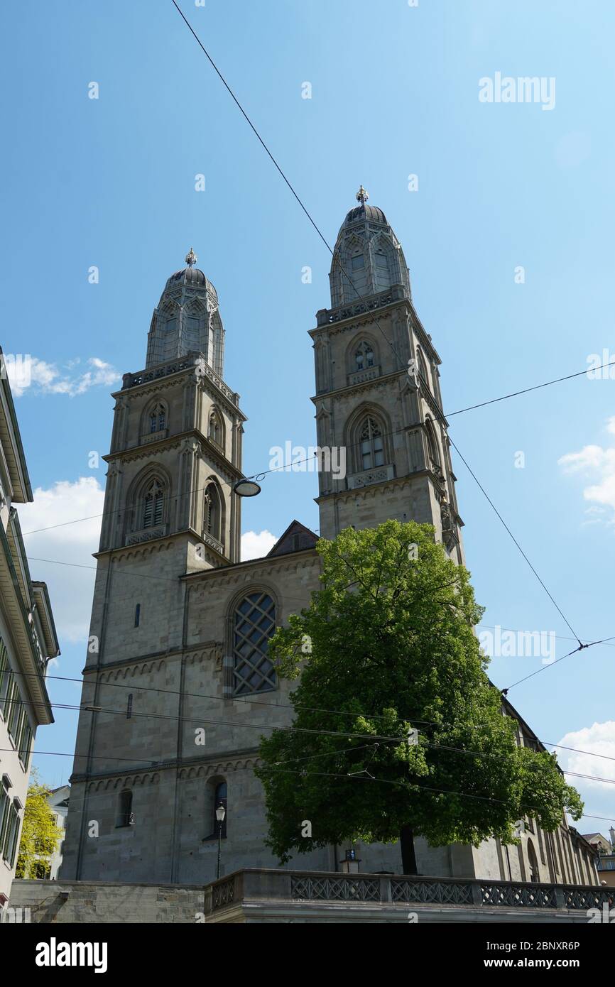 La facciata anteriore della chiesa di Grossmünster a Zurigo, con le sue due alte torri sullo sfondo del cielo blu e un albero solitario in primo piano. Foto Stock