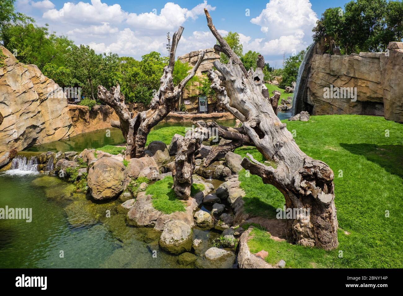 Valencia, Spagna: 14 giugno 2015 - aree ricreate nel bio-parco valenica Foto Stock