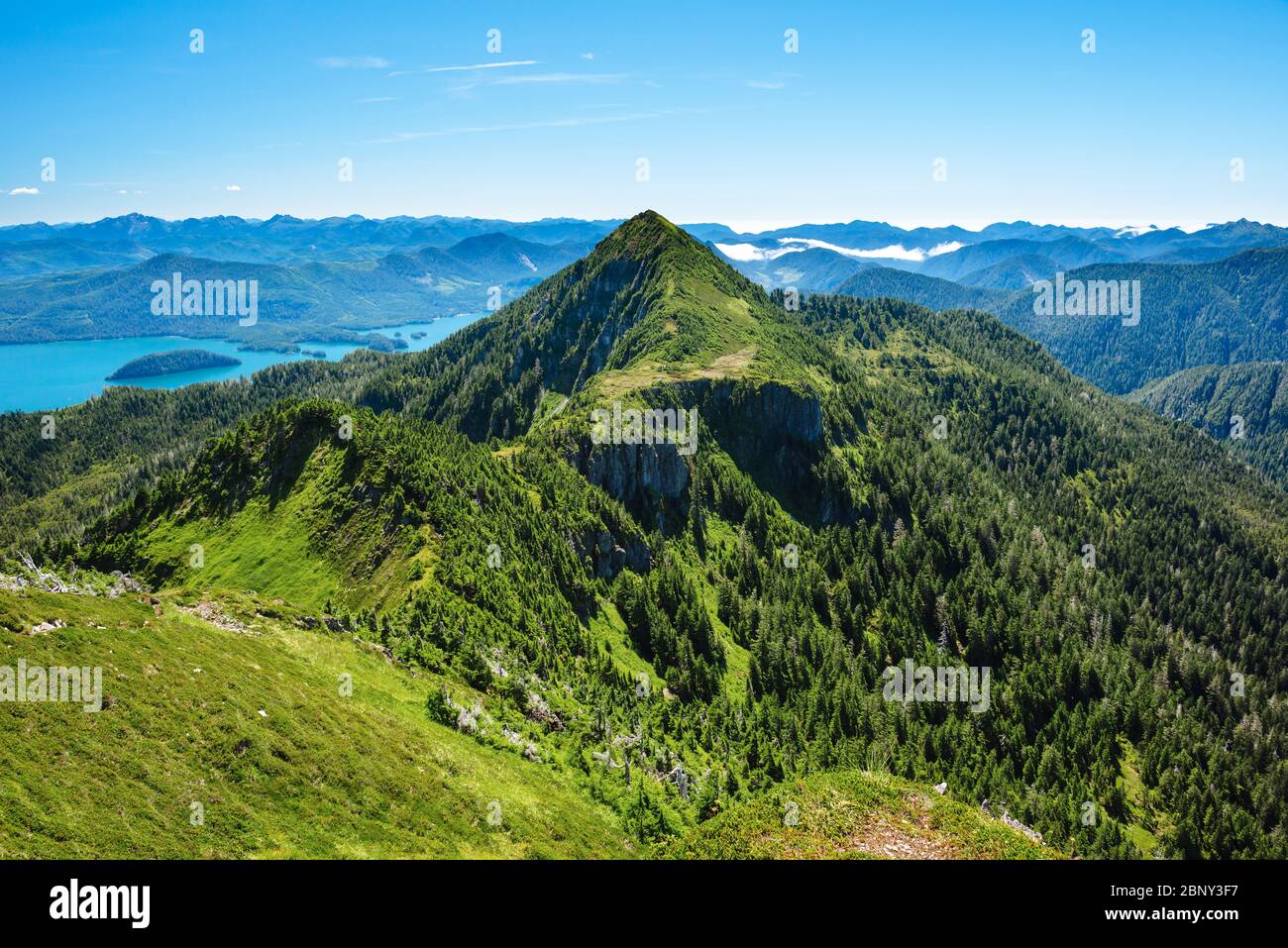 Una vista dal Sentiero della bellezza addormentata sull'Isola di Graham, Haida Gwaii, British Columbia, Canada. Foto Stock
