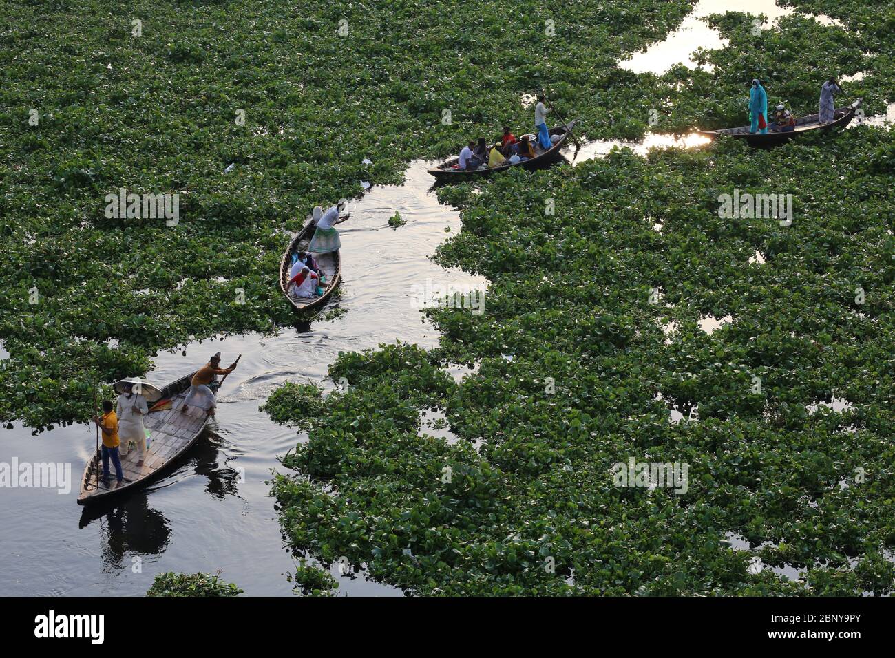 Dhaka, Bangladesh. 16 maggio 2020. Giacinto d'acqua cresce sul fiume Buriganga, uno dei fiumi più trafficate del mondo, mentre il corso d'acqua è chiuso per 53 giorni per impedire che il nuovo coronavirus (CoVid-19) si diffonda. Dato che il blocco era rilassato, in una certa misura si vedeva che le persone usavano piccole barche per attraversare il fiume. (Foto di Rd. Rakibul Hasan/Pacific Press) Credit: Pacific Press Agency/Alamy Live News Foto Stock