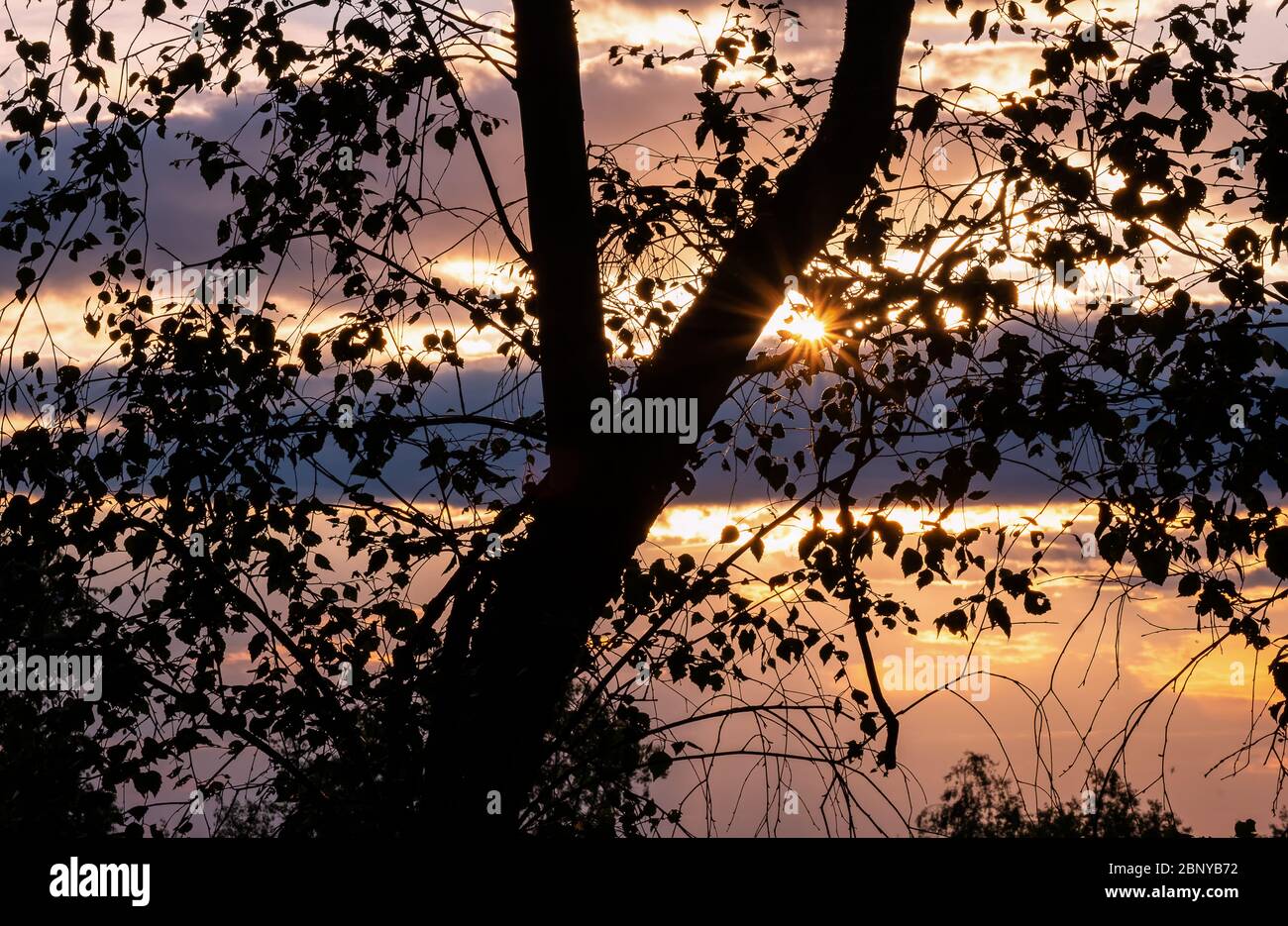 Tramonto sulle colline di Surrey Foto Stock