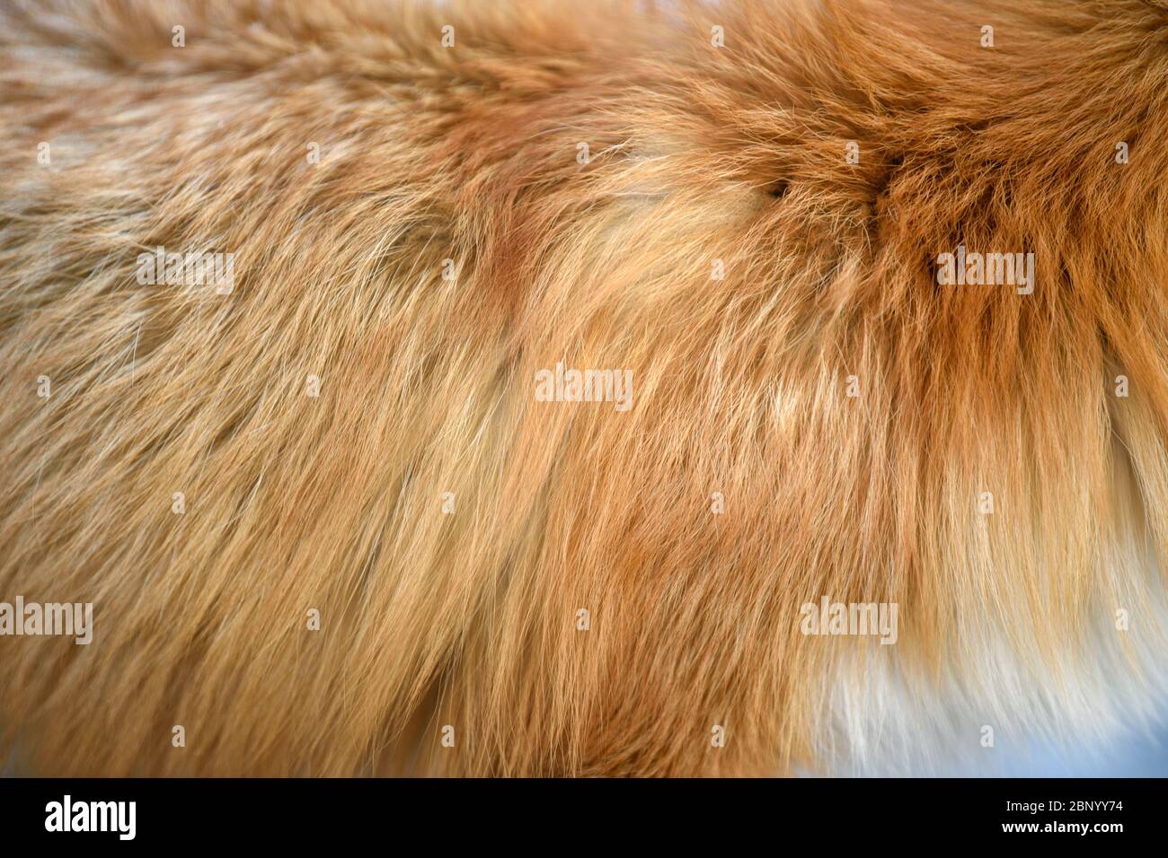 Design a motivo volpe rosso. Vera pelle di pelliccia. Sfondo delle piastrelle del modello di stampa animale Foto Stock