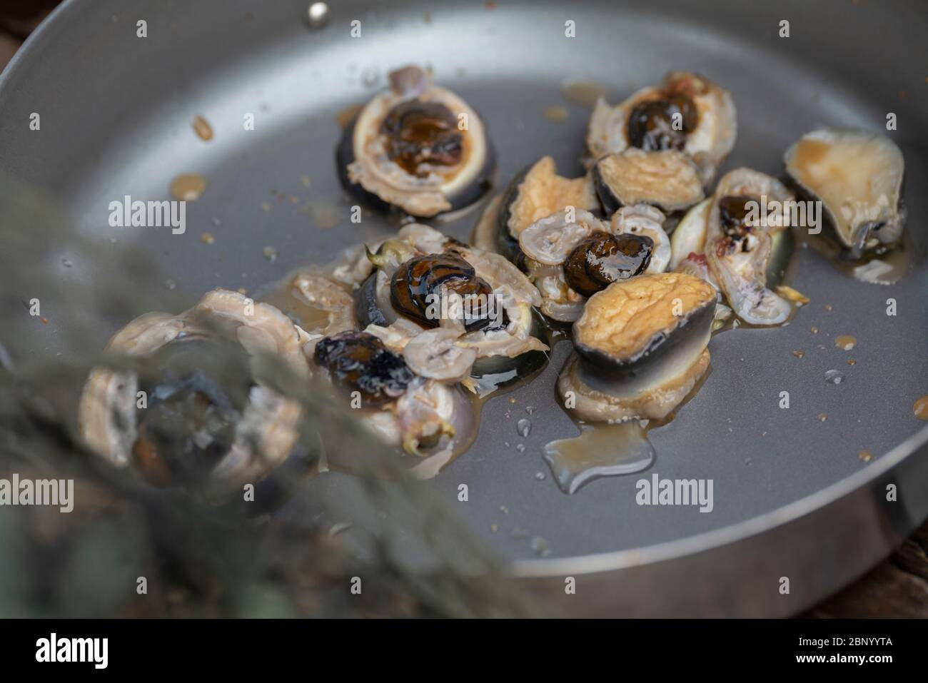 Conchiglie di mare fresche pronte per cucinare Foto Stock