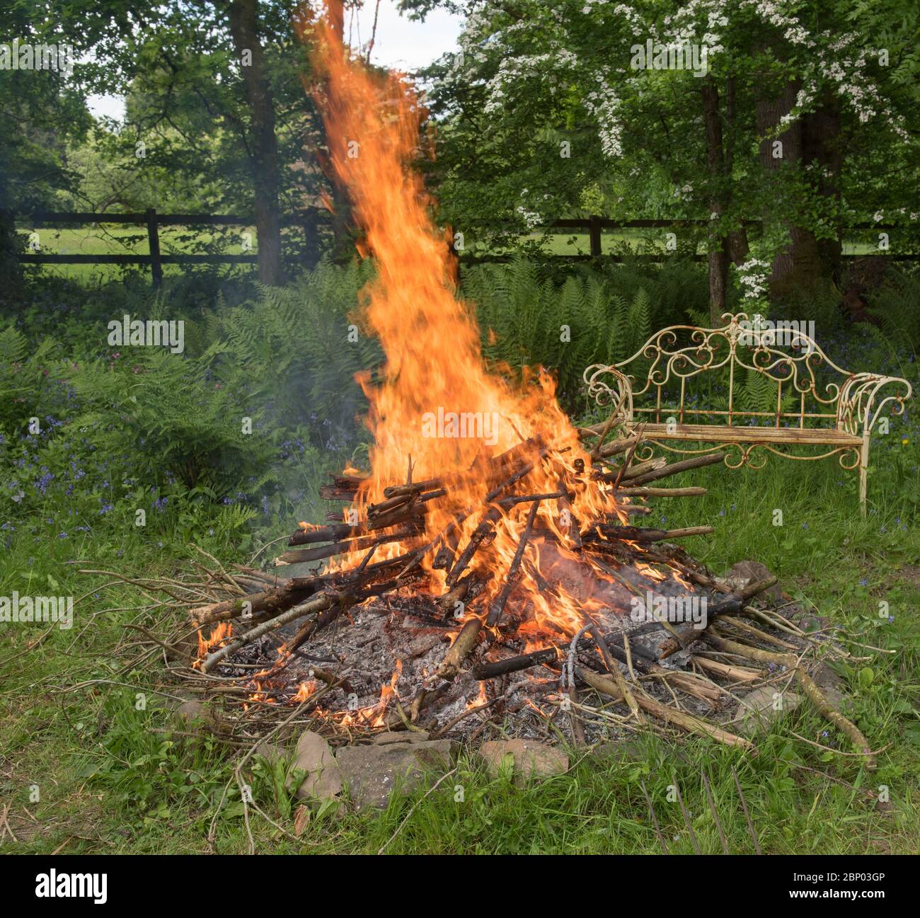 Fiamme che saltano da un fuoco di fuoco in un fuoco in un giardino rurale del Devon rurale, Inghilterra, Regno Unito Foto Stock