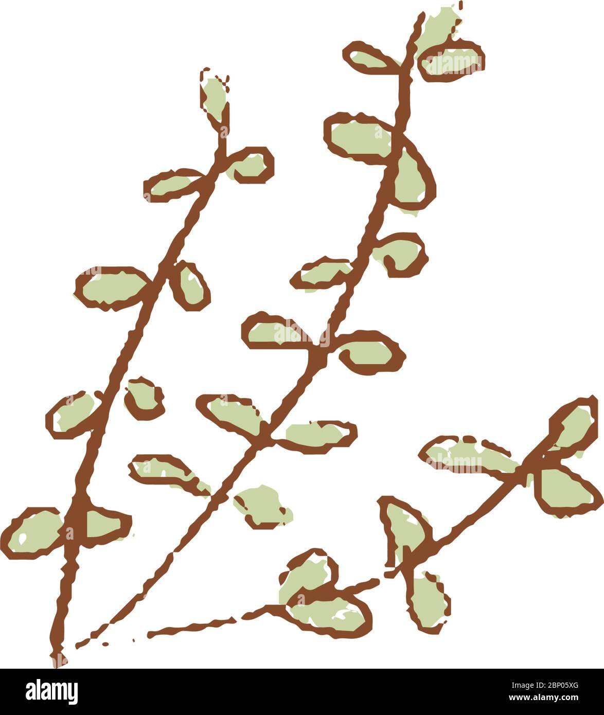 Un mazzo di Thyme verde fresco ramoscelli isolato icona. Riberipes primaverili. astings, mercato agricolo, illustrazione vettoriale. Disegnata a mano Illustrazione Vettoriale