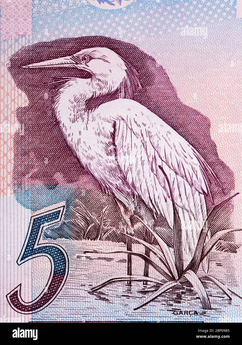 Grande egrego un ritratto da vecchi soldi brasiliani Foto Stock